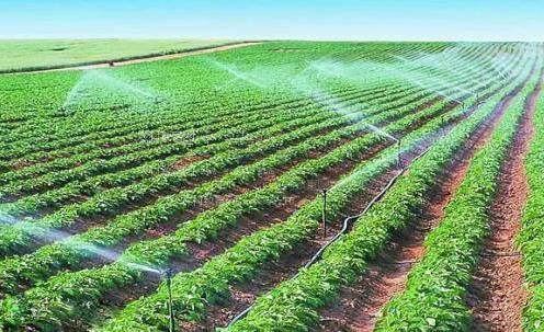 看外国美女逼长啥样视屏农田高 效节水灌溉